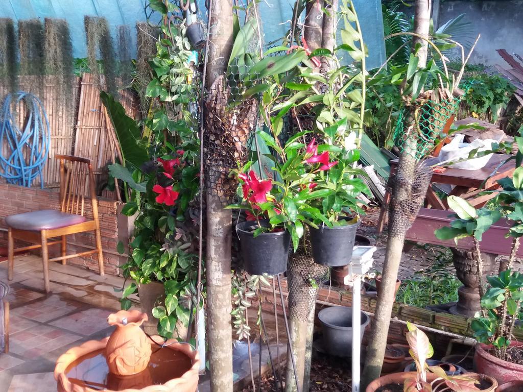 Hollanda Montri Guesthouse Chiang Mai Exterior foto